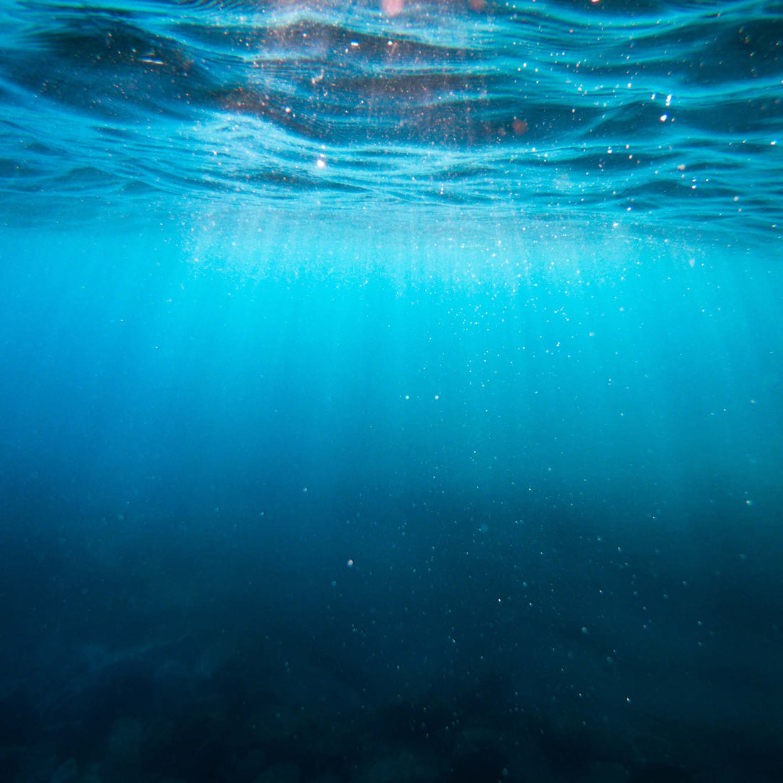 Darum ist der Verzehr von Fisch so klimaschädlich