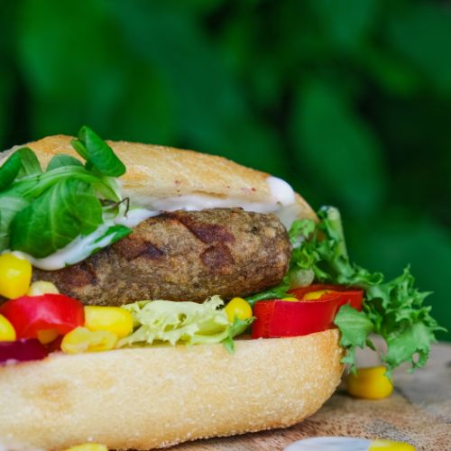 Grill Dog mit veganer Bratwurst und frischem Salat