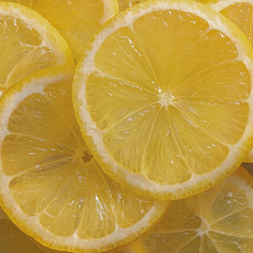 Frische Zitronenscheiben