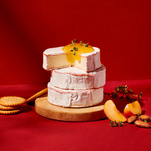 Pflanzlicher Würzbert