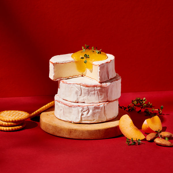 Plant-based Würzbert (camembert substitute)